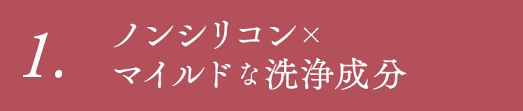 [POINT1]ノンシリコン×マイルドな洗浄成分